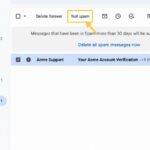 Gmail Spam folder showing a legitimate message with the Not spam action available