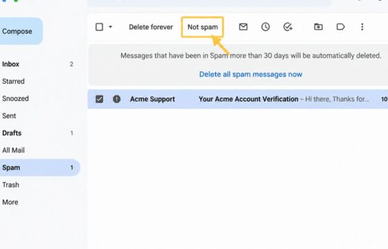 Gmail Spam folder showing a legitimate message with the Not spam action available