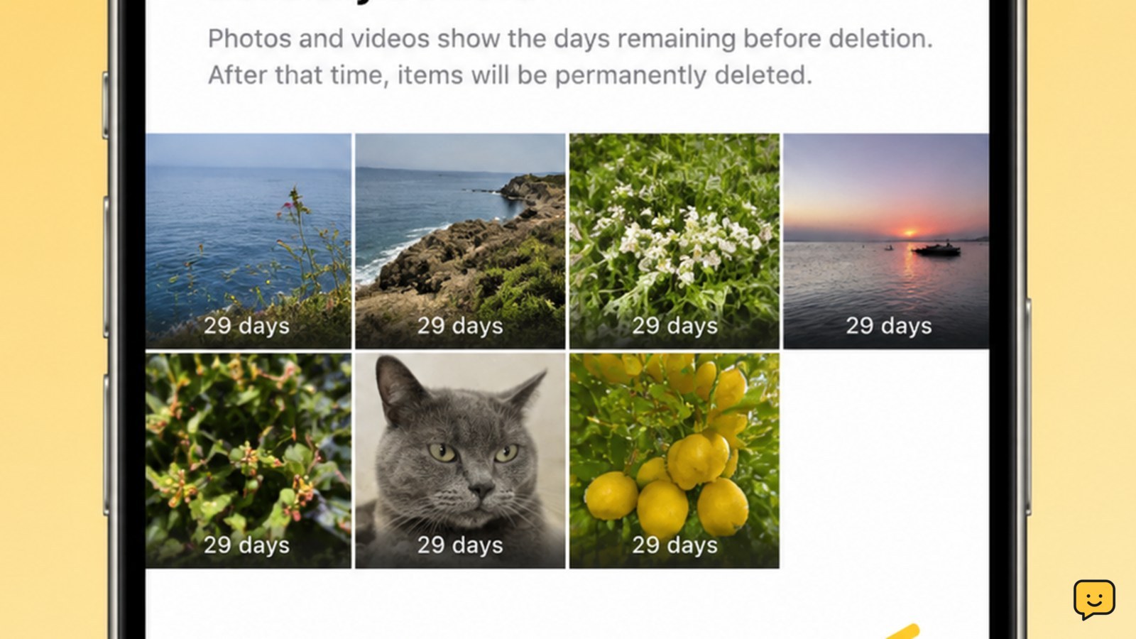 Phone photo app showing the Recently Deleted or Trash album with an empty-folder control