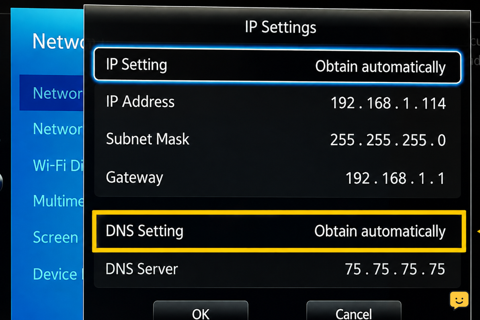 Samsung TV IP settings screen with DNS set to obtain automatically