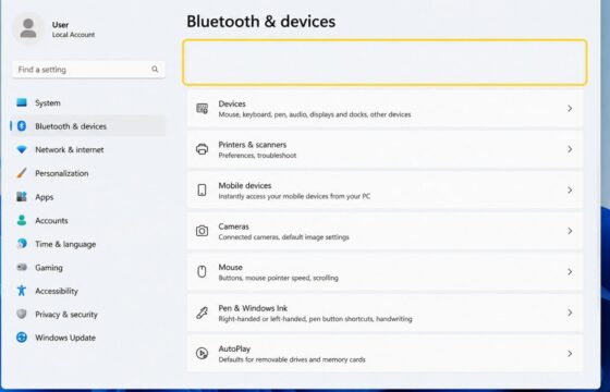 Windows 11 Bluetooth settings page with the Bluetooth toggle missing